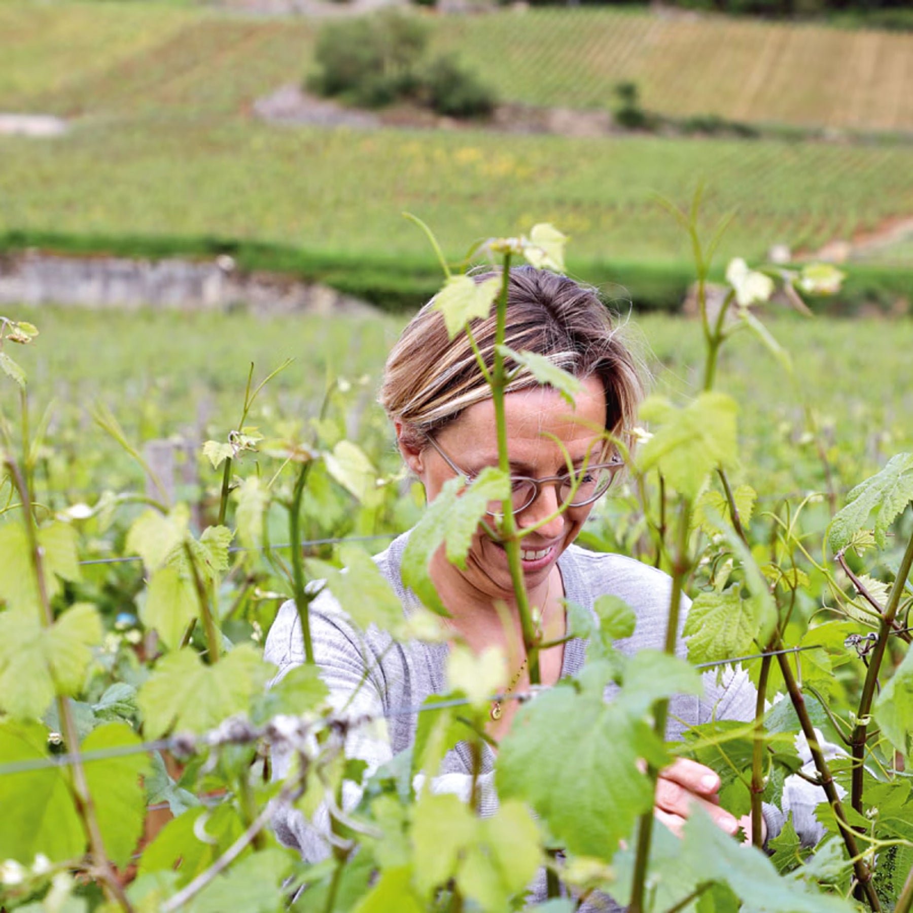 Caroline Morey Santenay Les Cornieres Blanc 2021 - Kent Street Cellars
