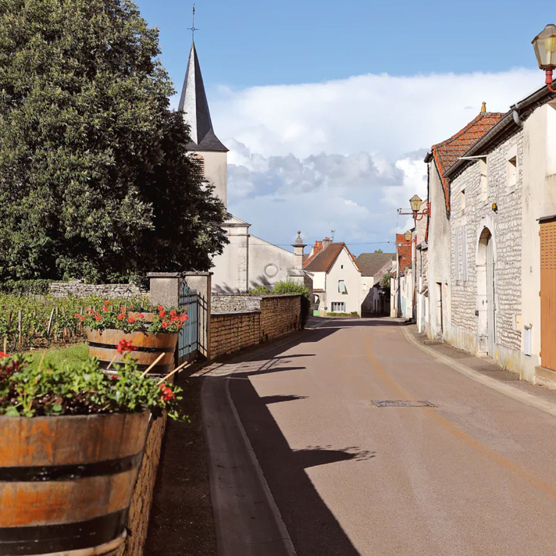 Caroline Morey Santenay Les Cornieres Blanc 2021 - Kent Street Cellars