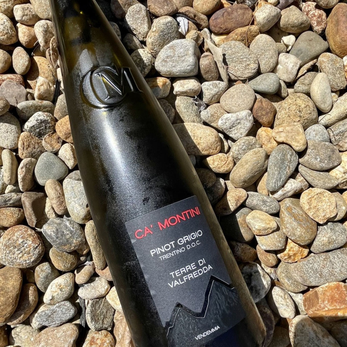 Ca' Montini Pinot Grigio Terre Di Valfredda 2024