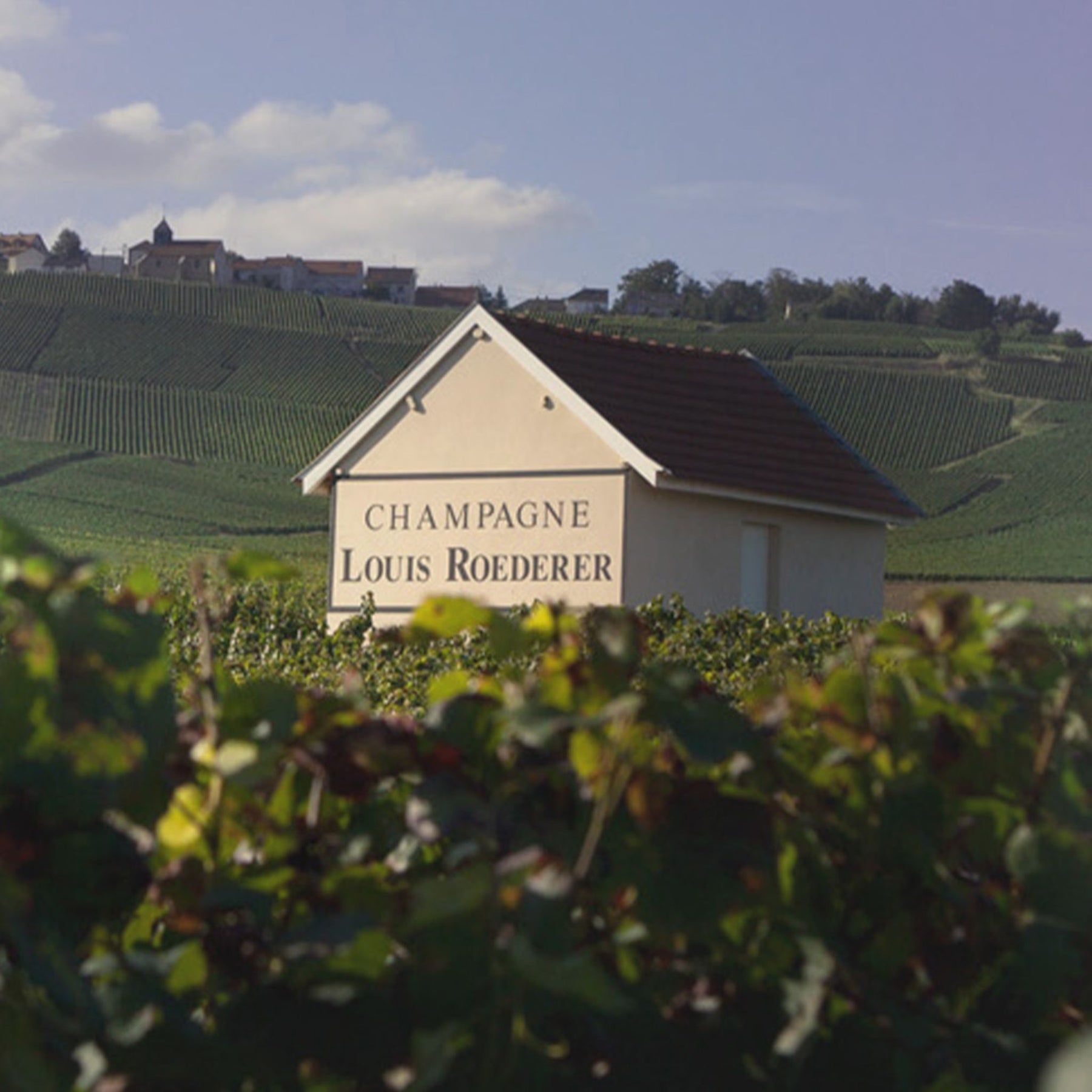 Louis Roederer Collection 243 NV 3L