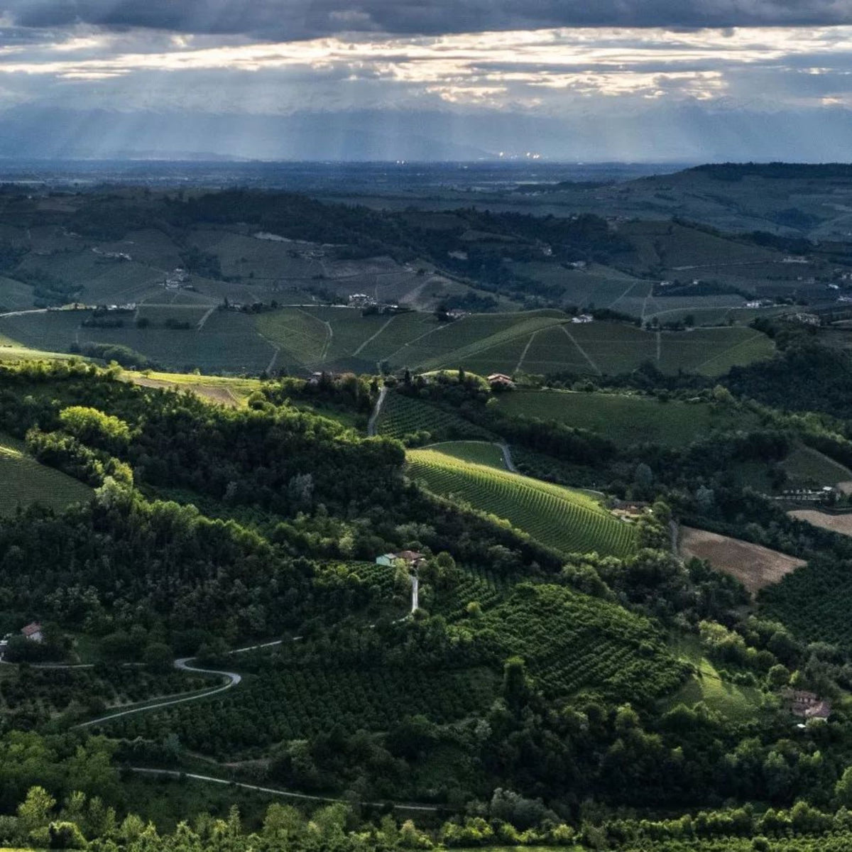 Vietti Barolo Castiglione 2020 1.5L