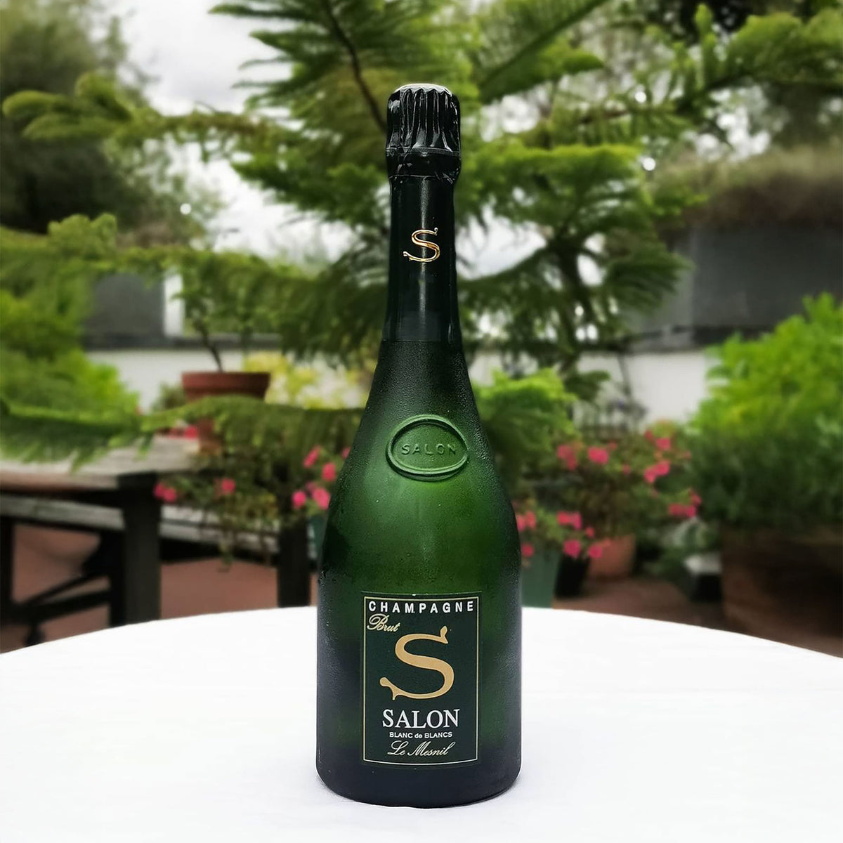 Champagne Salon Le Mesnil Blanc de Blancs 2007