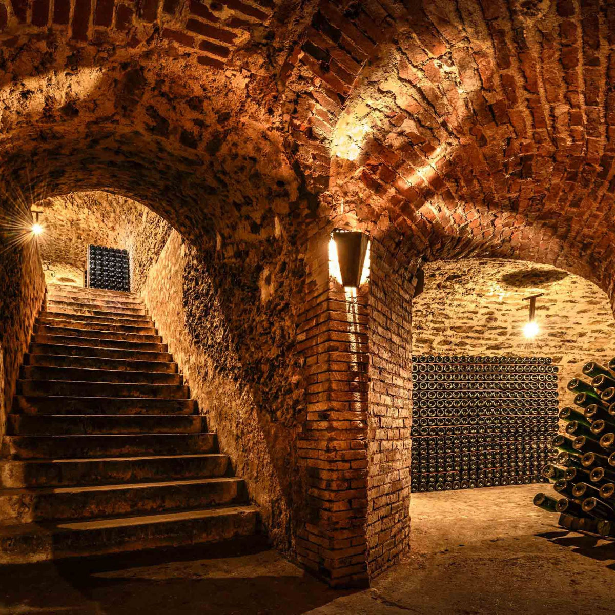 Champagne Salon Cellar - Kent Street Cellars