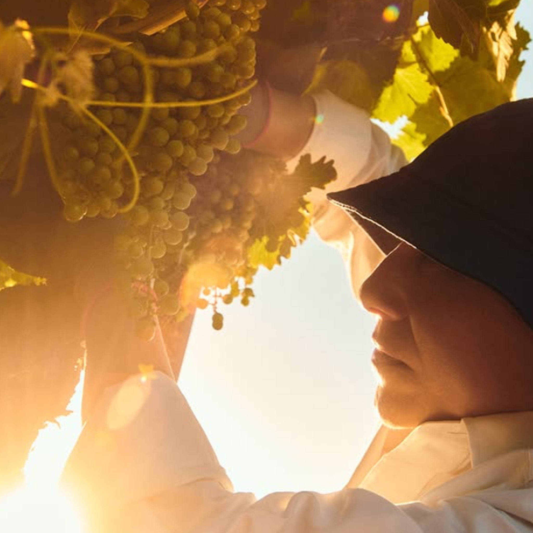 Chandon Blanc de Blancs 2019