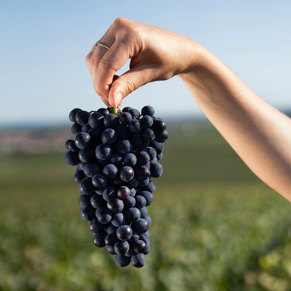 Charles Heidsieck Brut Réserve NV