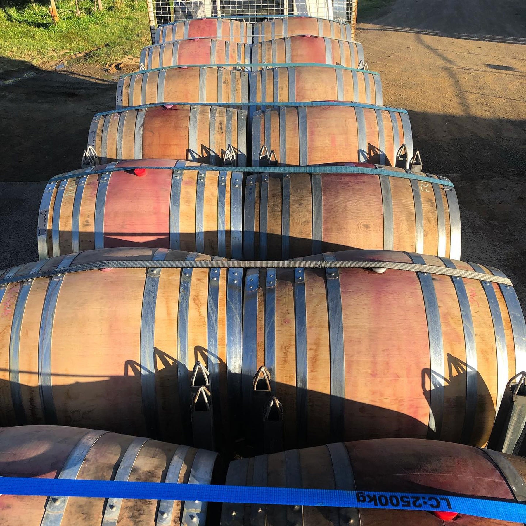 Chatto Killara Pinot Noir 2023 - Kent Street Cellars