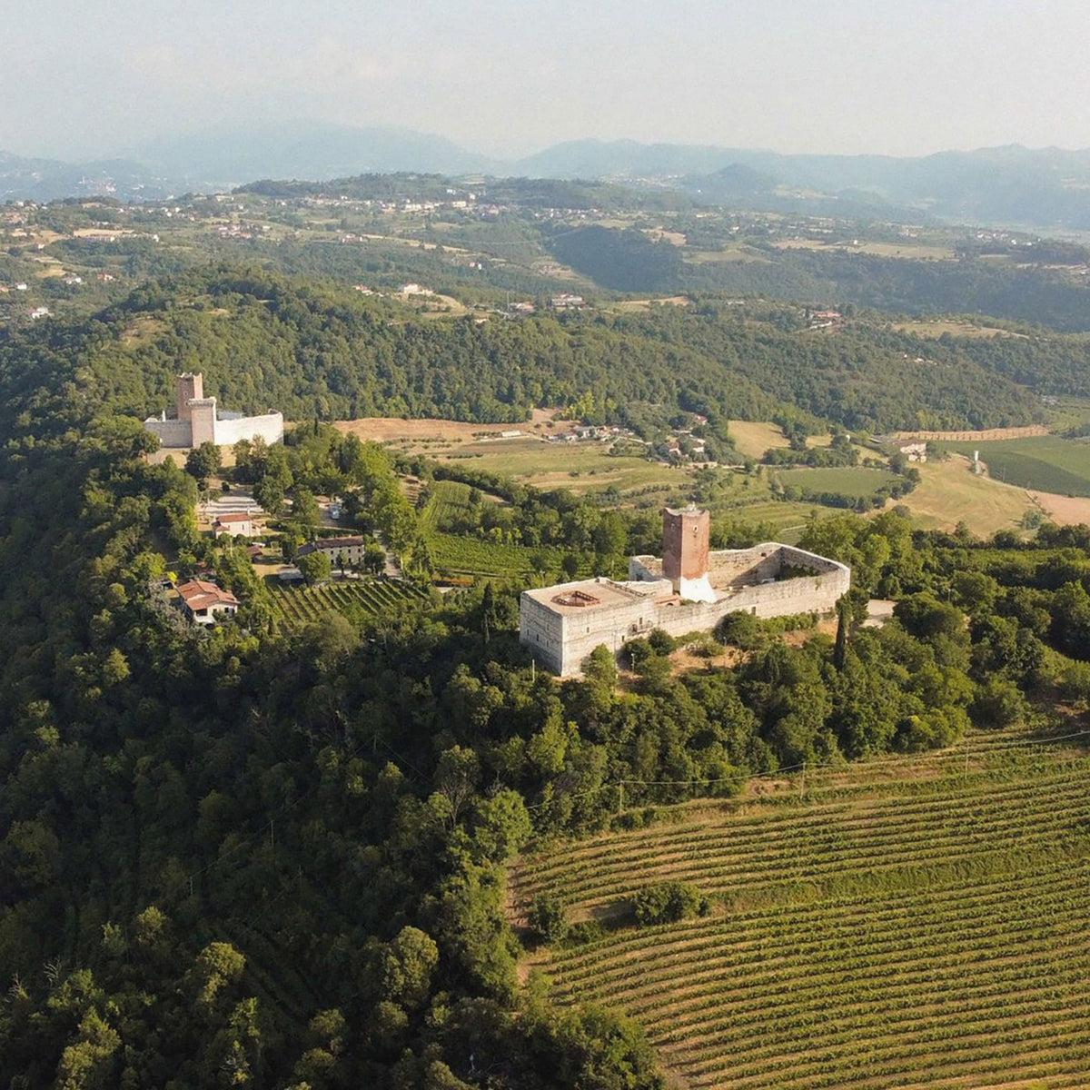 Cielo e Terra 3 Passo Vino Rosso 2023