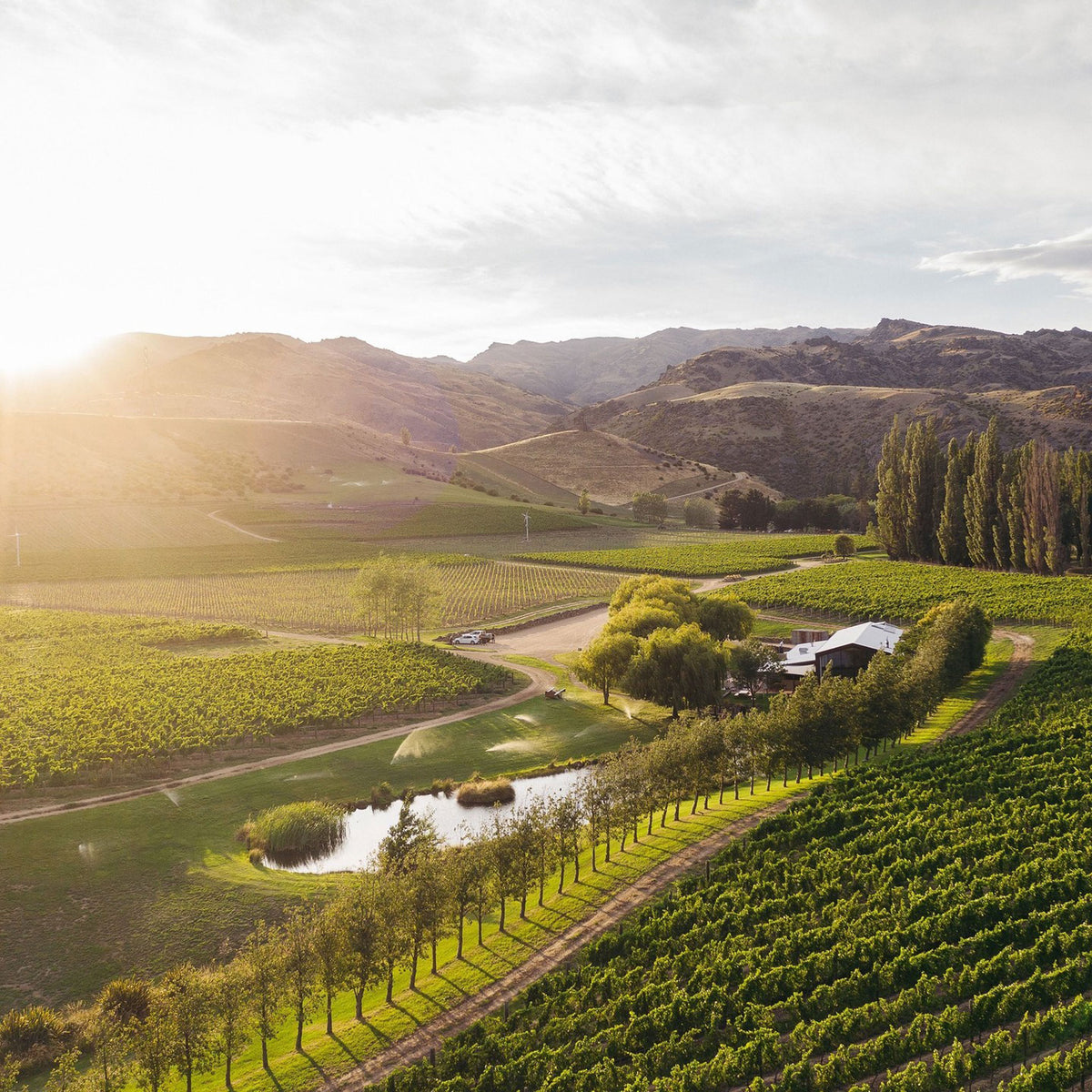 Cloudy Bay Pinot Noir 2022 - Kent Street Cellars