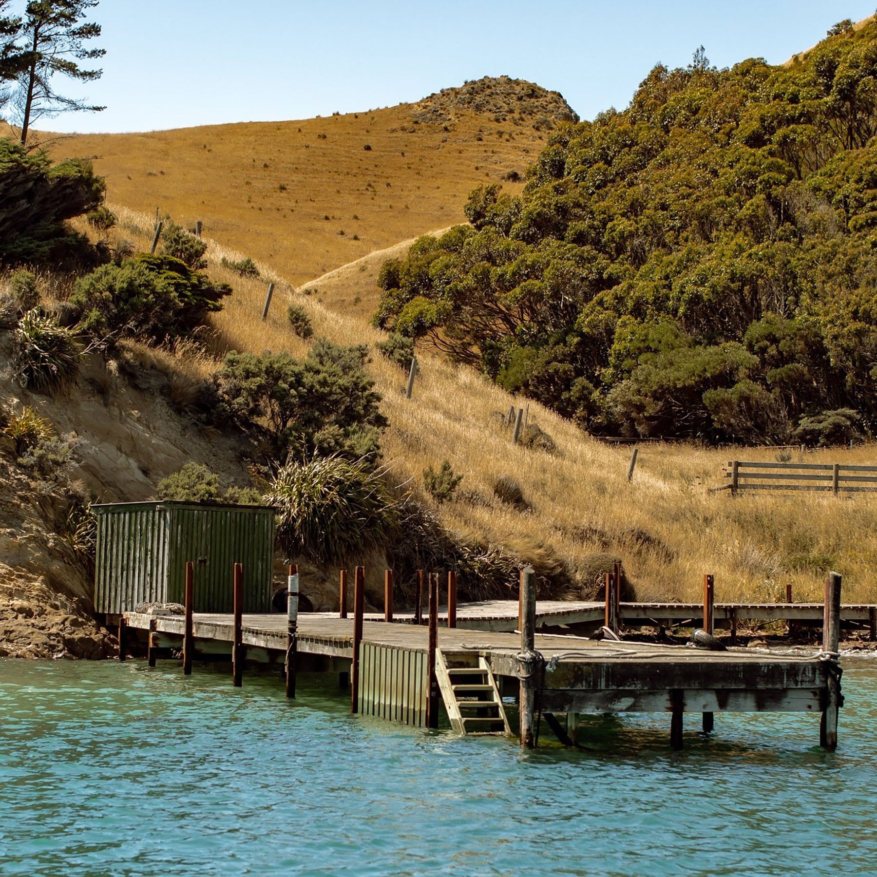Cloudy Bay Sauvignon Blanc 2025