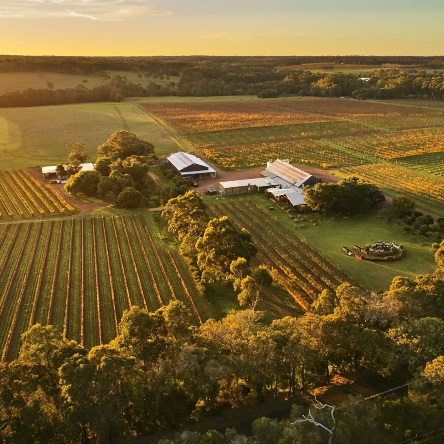 Cullen Wines Diana Madeline 2024