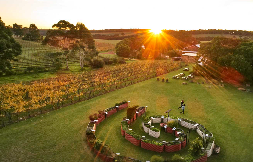 Cullen Wines Diana Madeline 2020