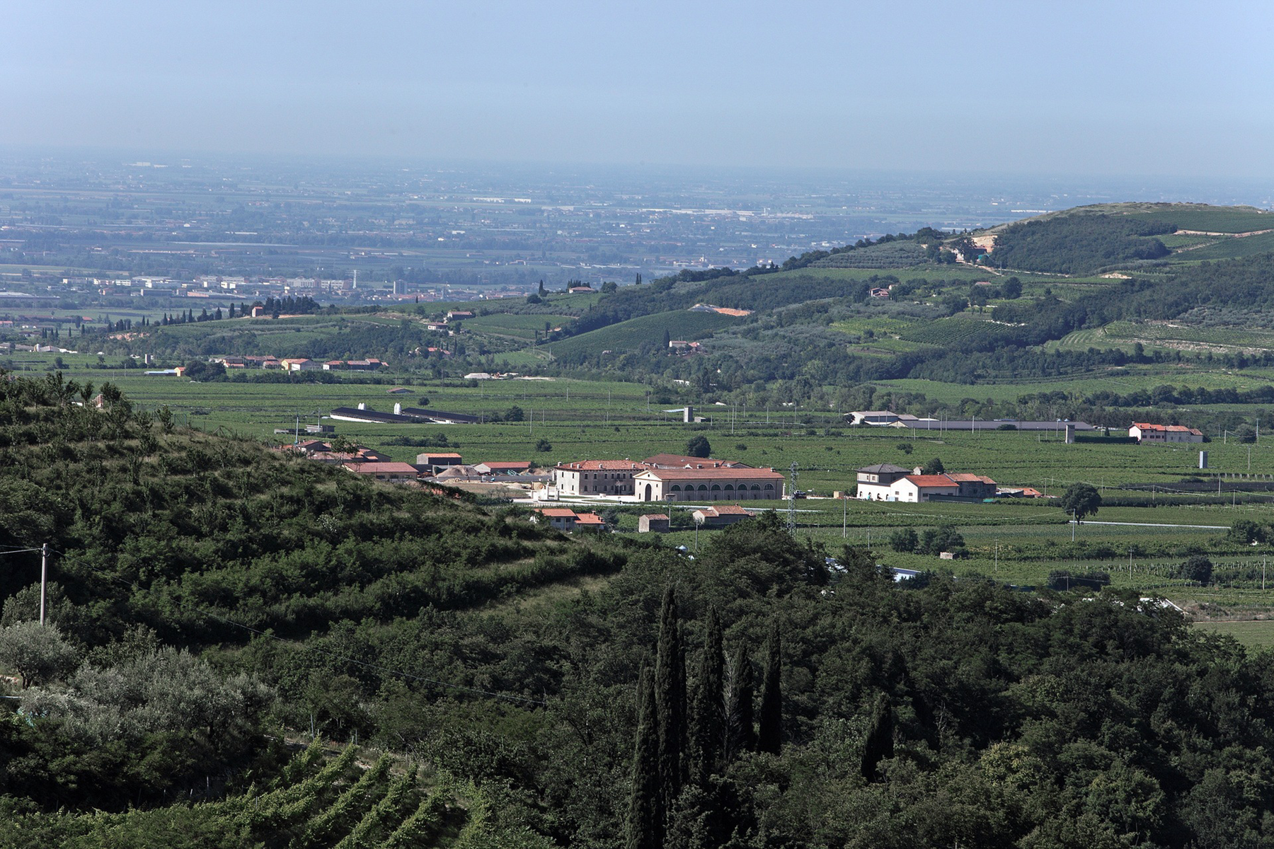 Dal Forno Romano Amarone della Valpolicella 2017 - Kent Street Cellars