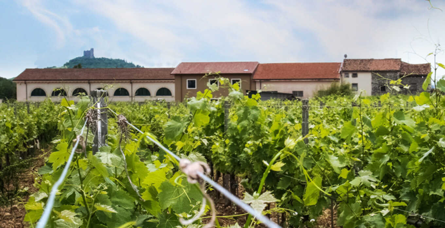Dal Forno Romano Amarone della Valpolicella 2017 - Kent Street Cellars