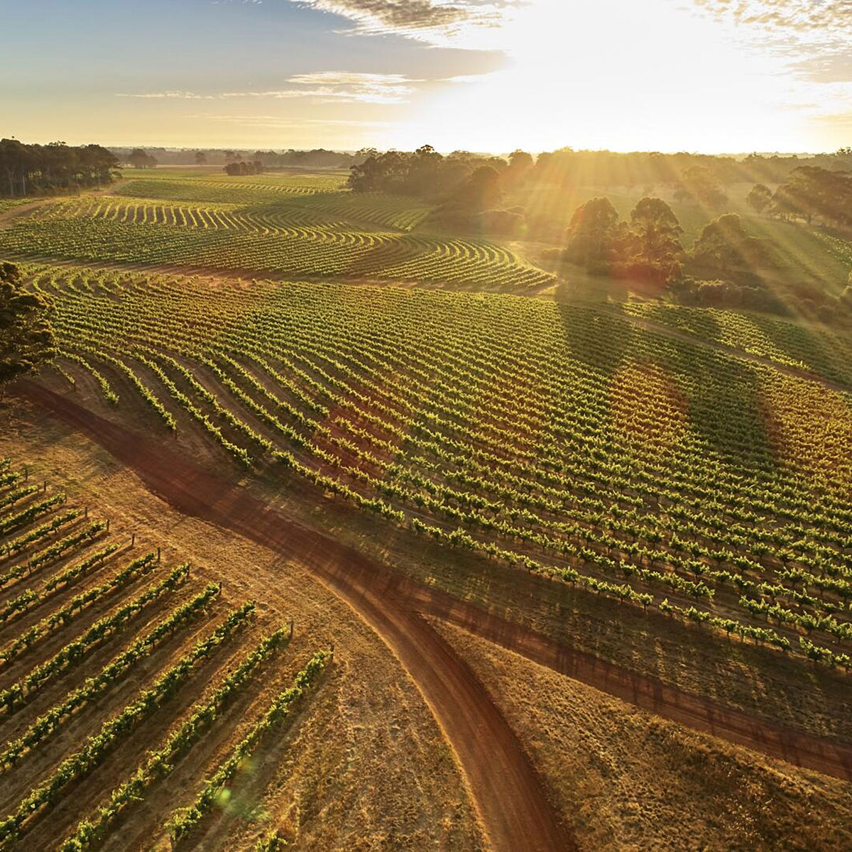 Leeuwin Estate Art Series Chardonnay 2021