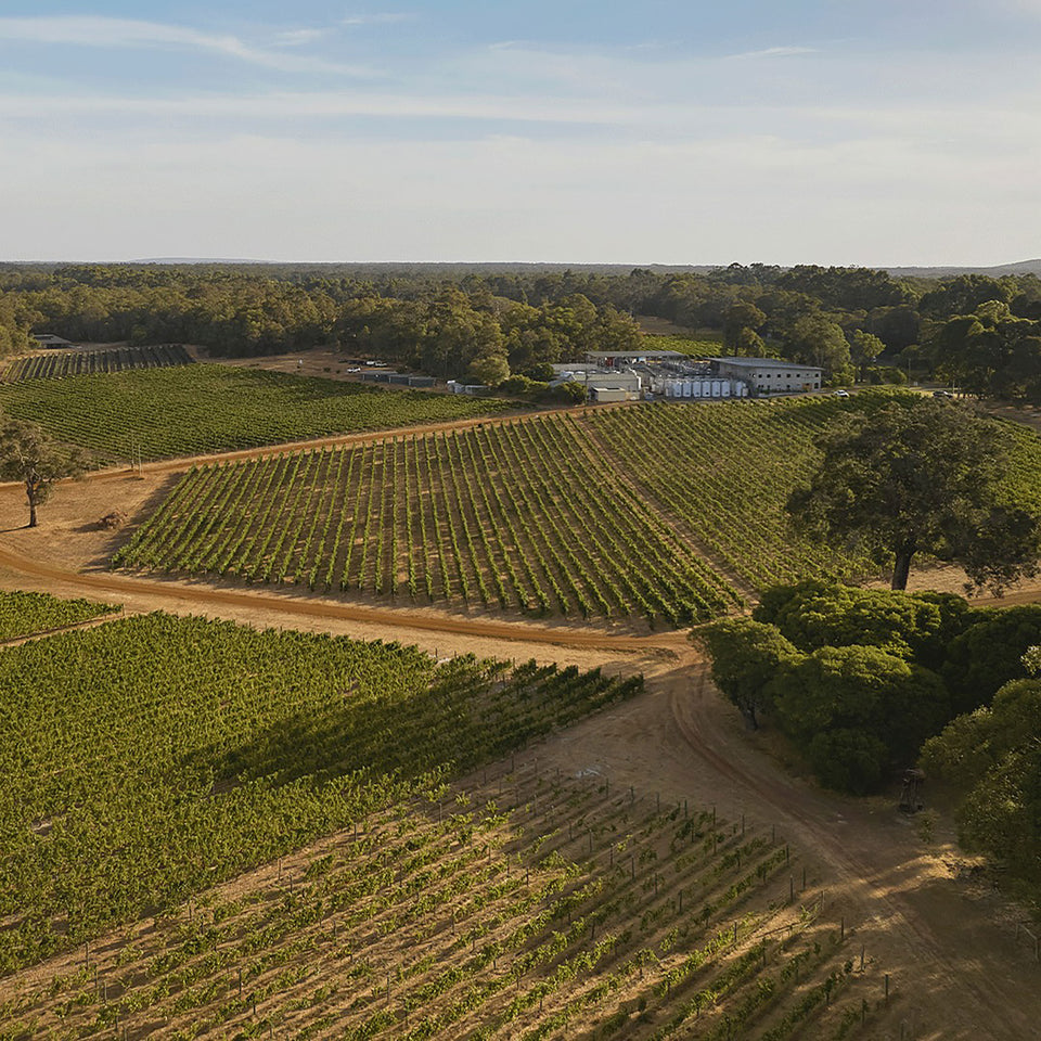 The Vineyard brand story