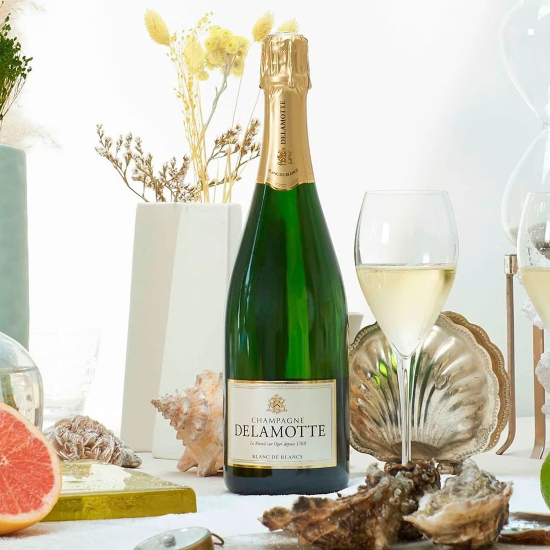 Champagne Delamotte Blanc de Blanc & Sea Shells - Kent Street Cellars