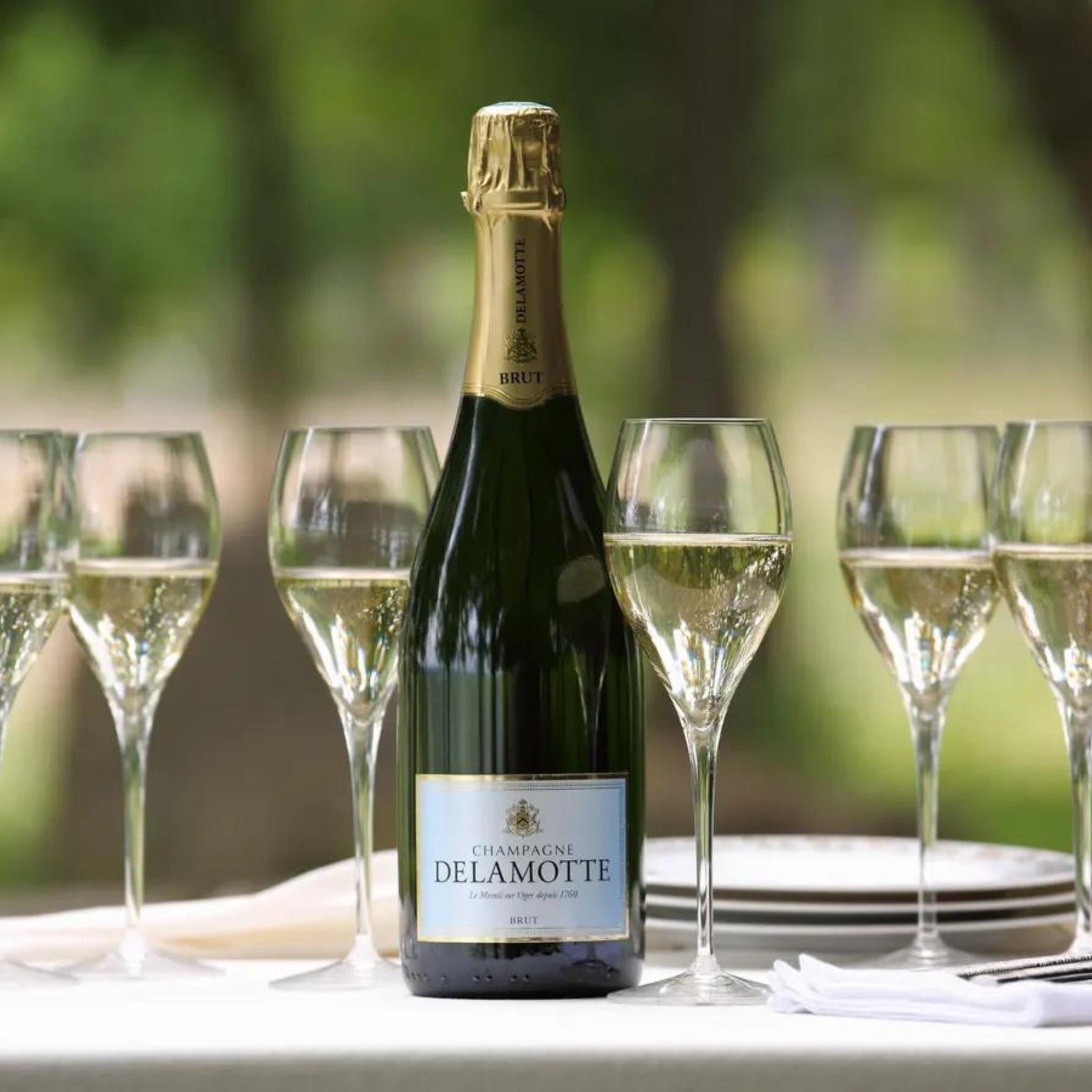 Champagne Delamotte Brut with glasses - Kent Street Cellars