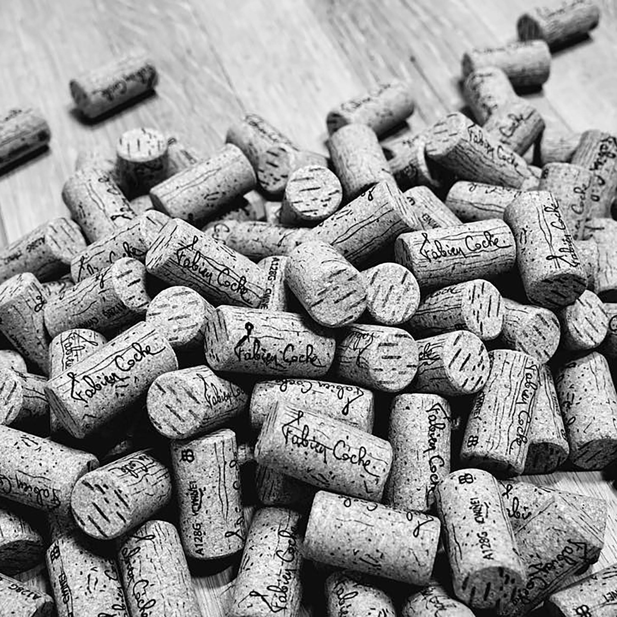 Domaine Fabien Coche Meursault Les Luchets 2023