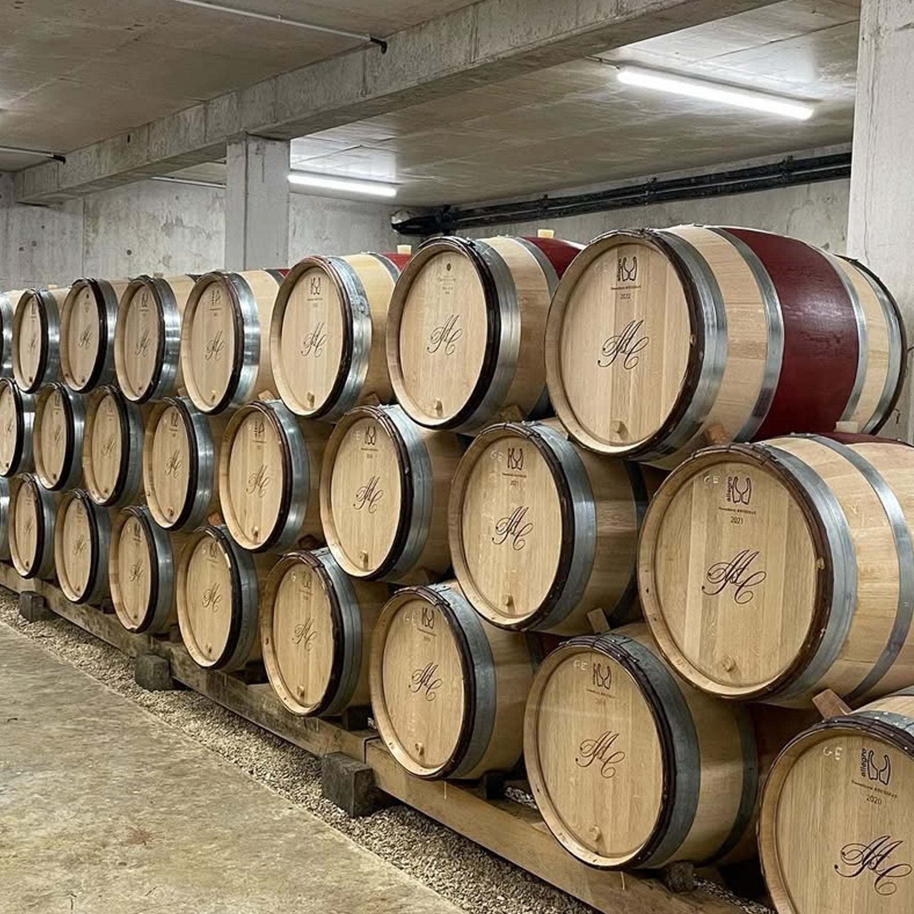 Domaine Collotte Marsannay Les Grasses Têtes 2024