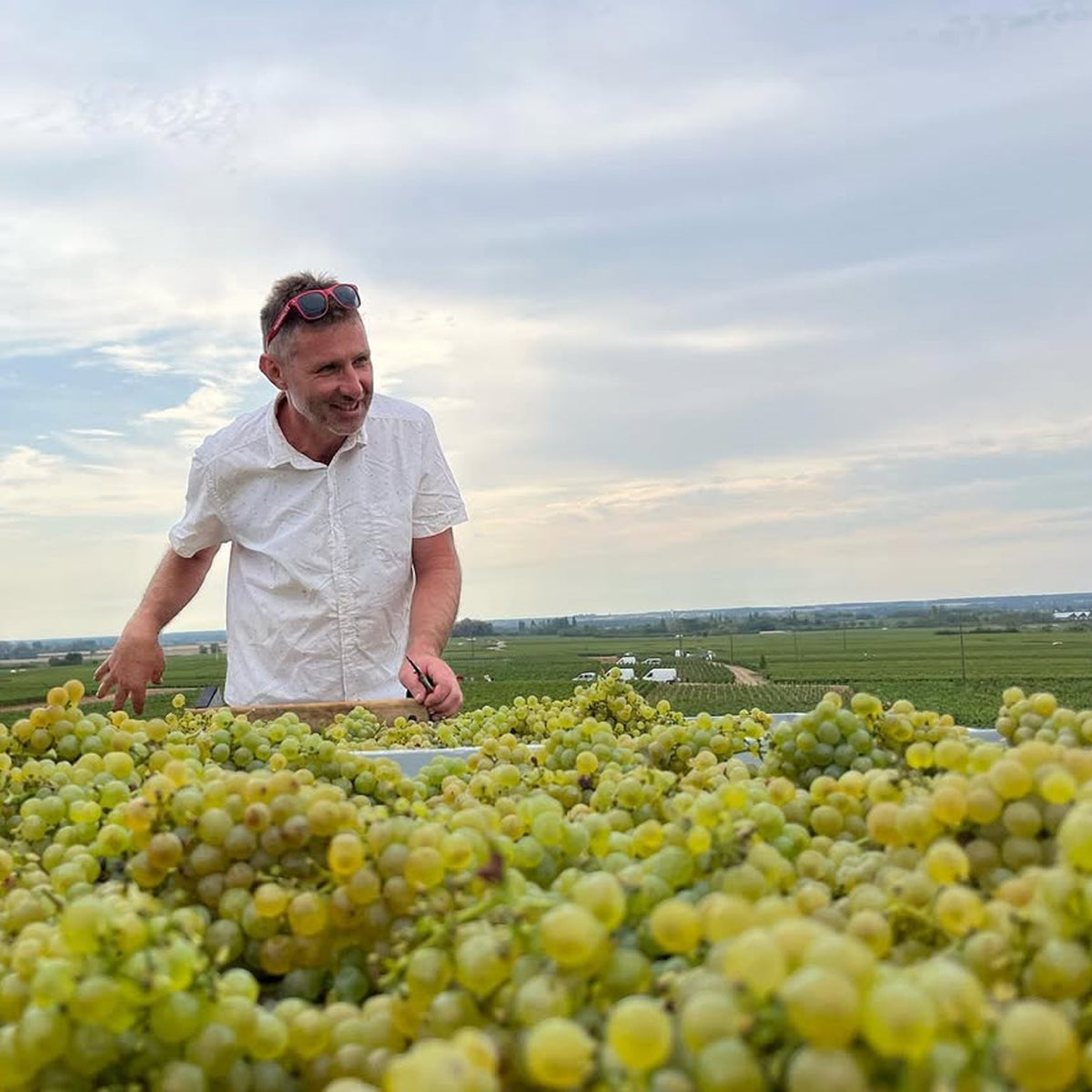 Domaine Dujac Puligny Montrachet 1er Cru Les Folatières 2022