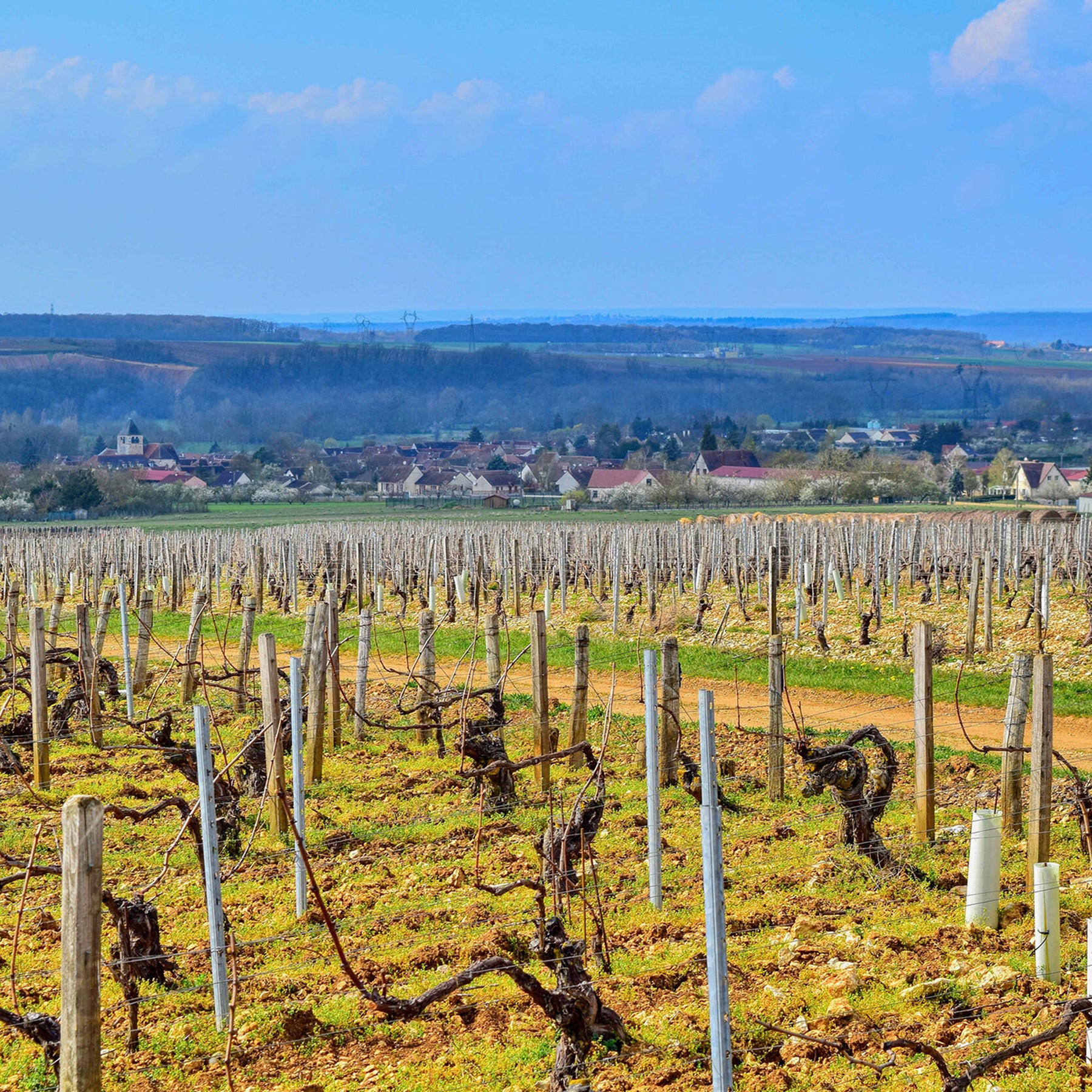 Domaine des Hâtes Pierrick Laroche Chablis 1er Cru Fourchaume l'Homme Mort 2022 1.5L - Kent Street Cellars