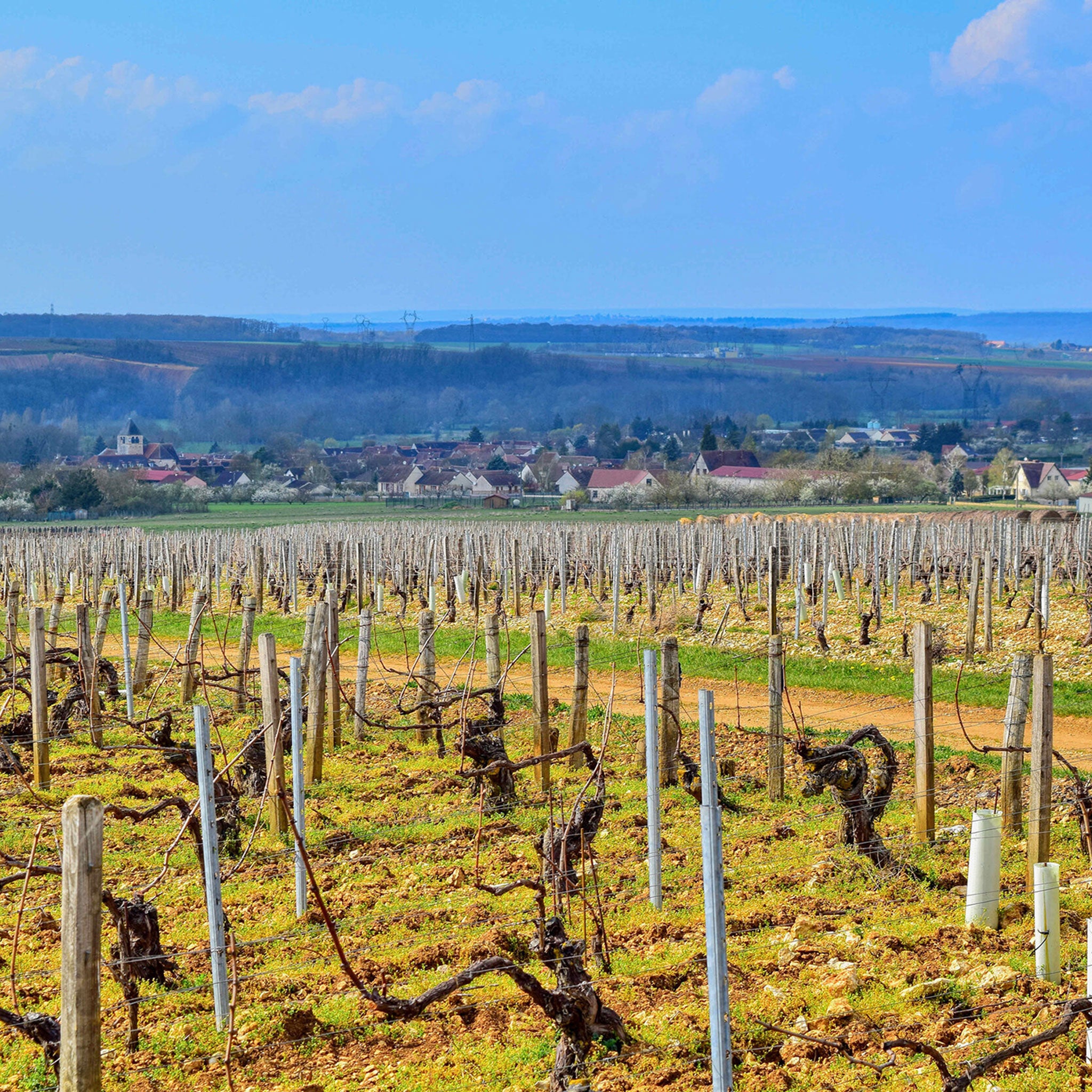 Domaine des Hâtes Pierrick Laroche Chablis Grand Cru Bougros 2022