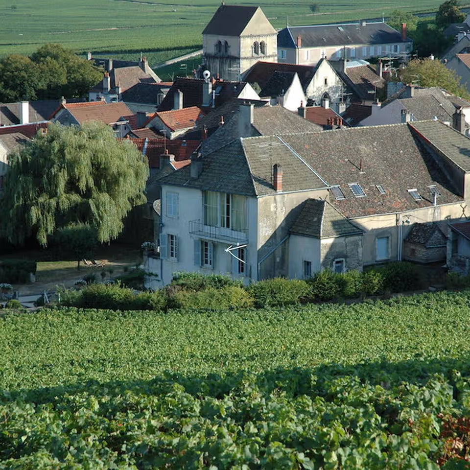 Domaine Marquis d'Angerville brand story