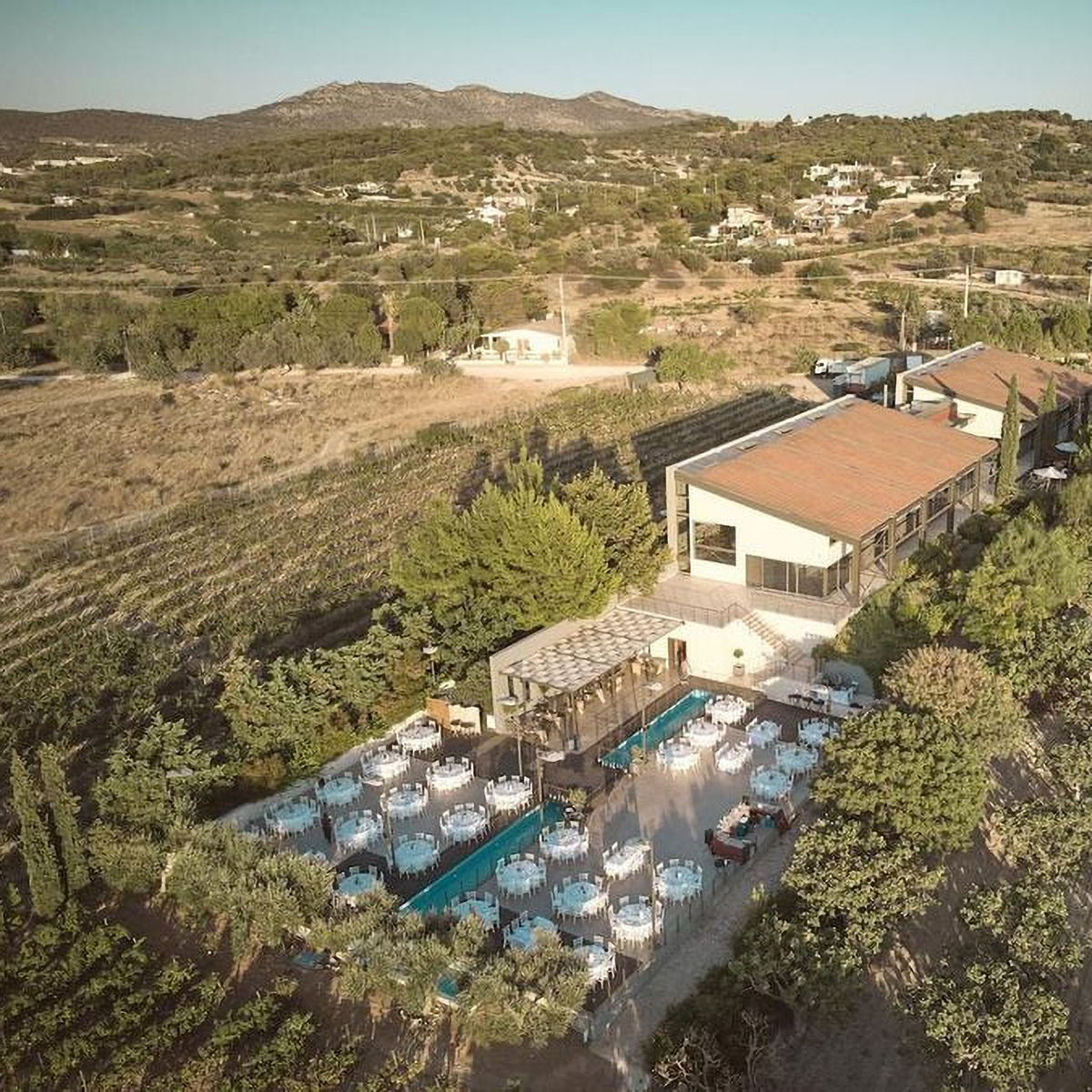 Papagiannakos Assyrtiko 2023
