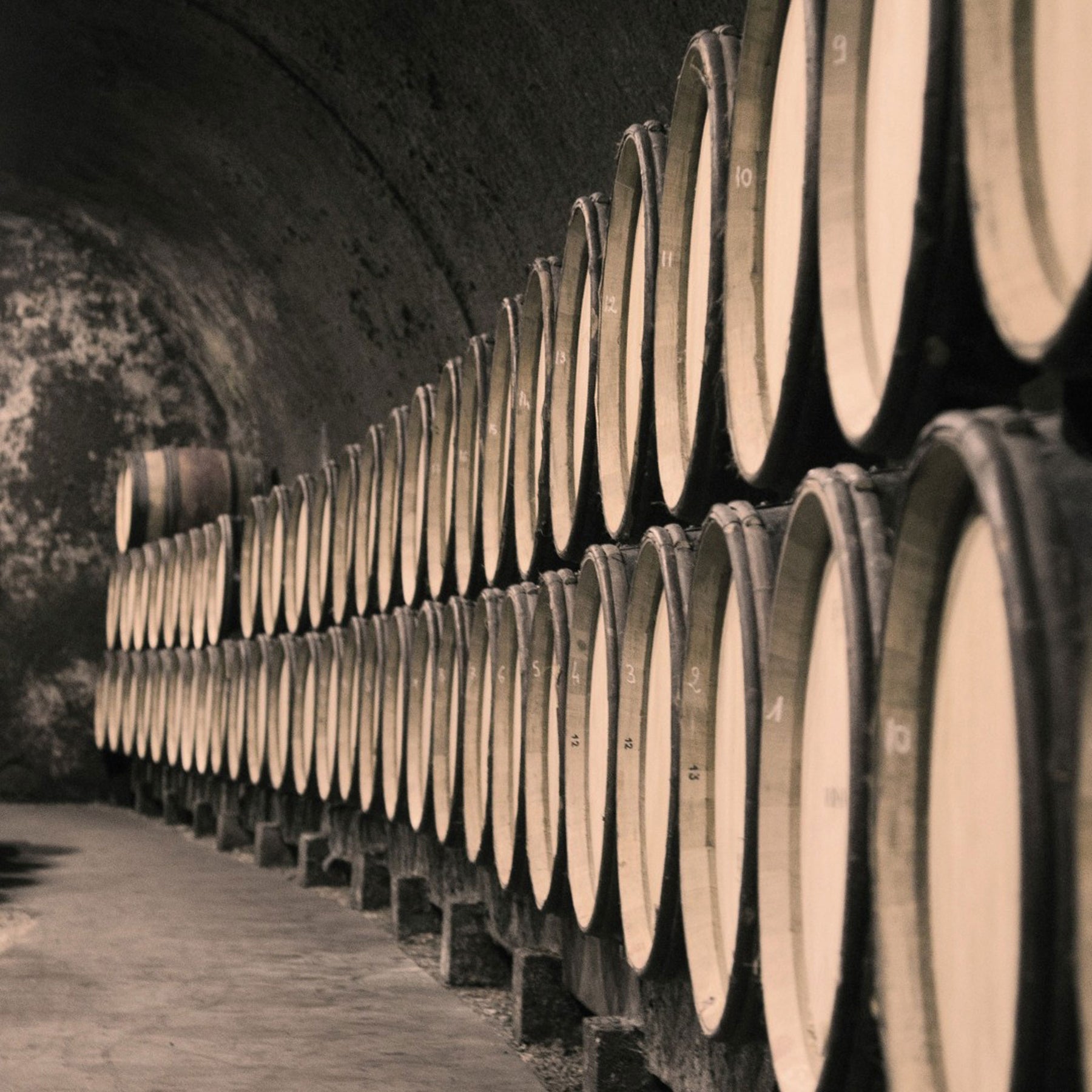 Domaine Chanson Beaune Le Clos Des Mouches 1er Cru Blanc 2019