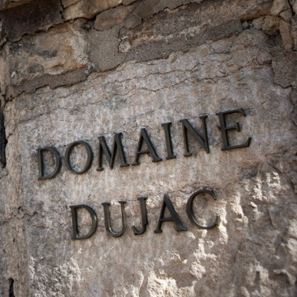 Domaine Dujac Morey Saint Denis 2021