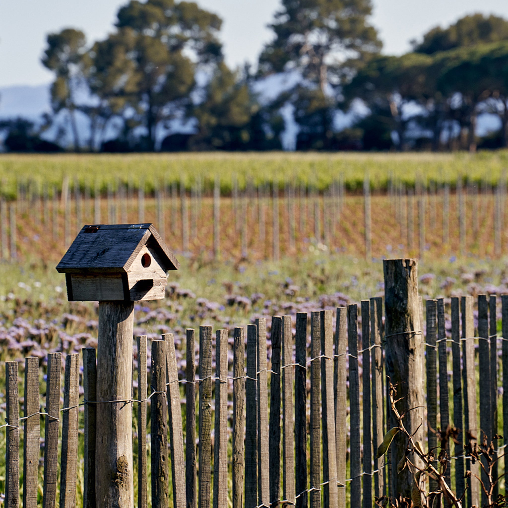 Philosophy | Domaines Ott