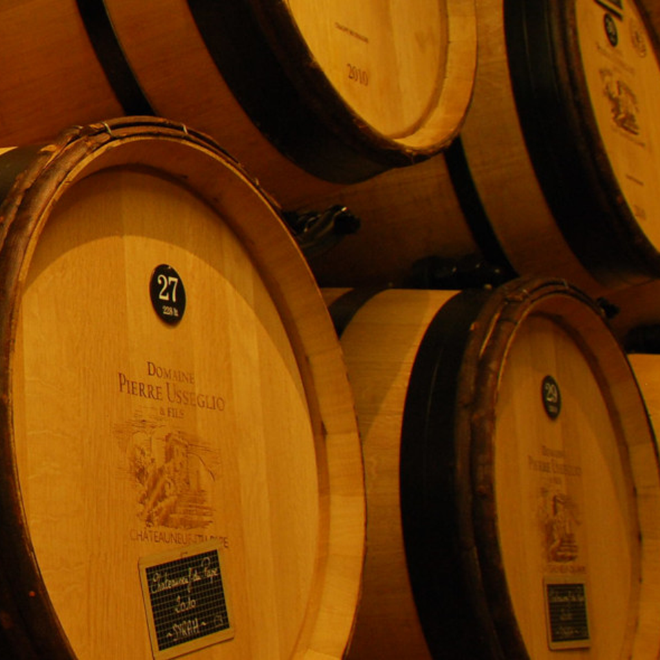 Domaine Pierre Usseglio & Fils brand story
