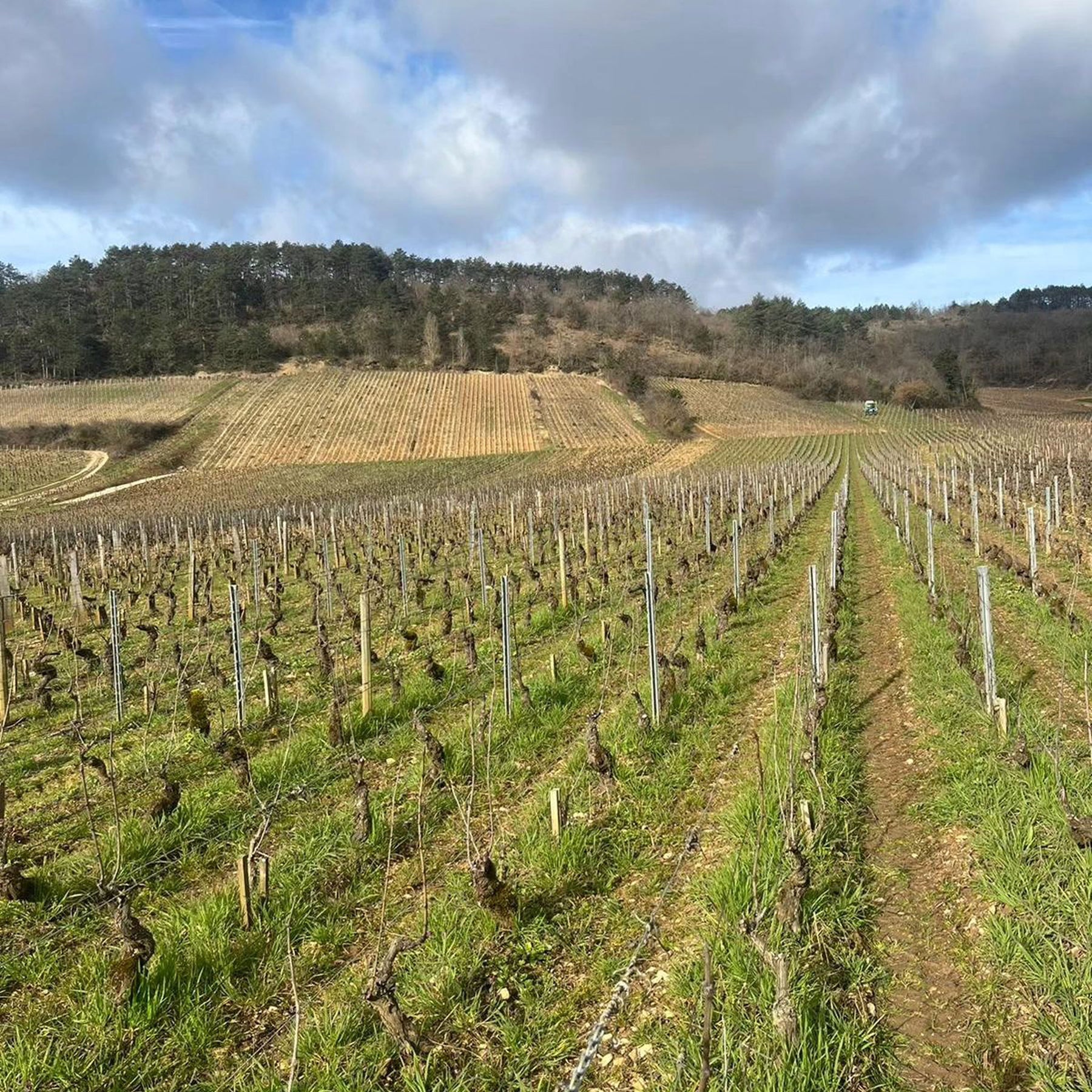 Domaine Fabien Coche Bourgogne Grandes Coutures Chardonnay 2022 - Kent Street Cellars