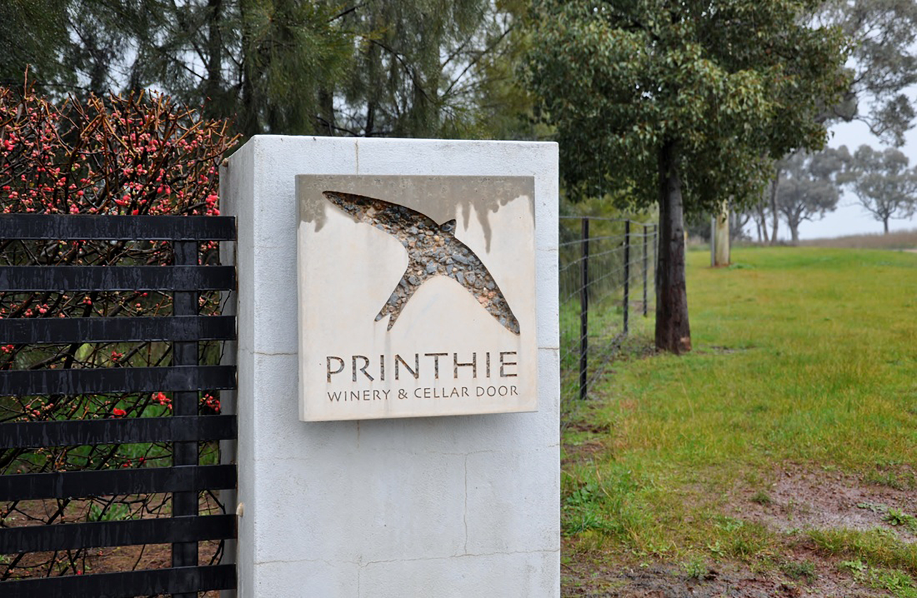 Printhie Topography Cabernet Sauvignon 2021
