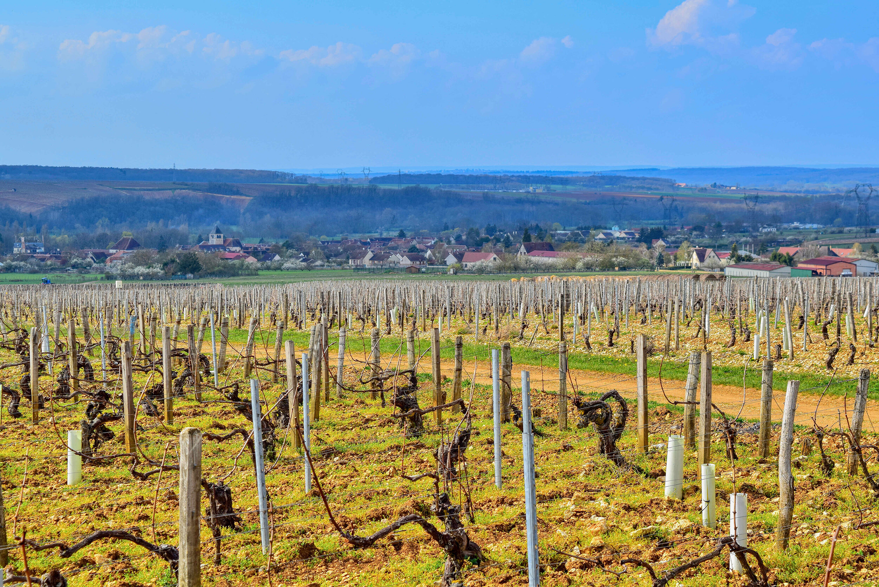 Maison des Hâtes Pierrick Laroche Chablis Grand Cru Bougros 2018 - Kent Street Cellars
