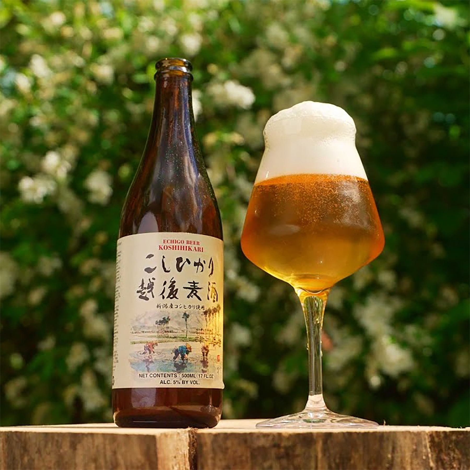 Echigo Koshihikari Rice Lager 500ml (Bottle) - Kent Street Cellars