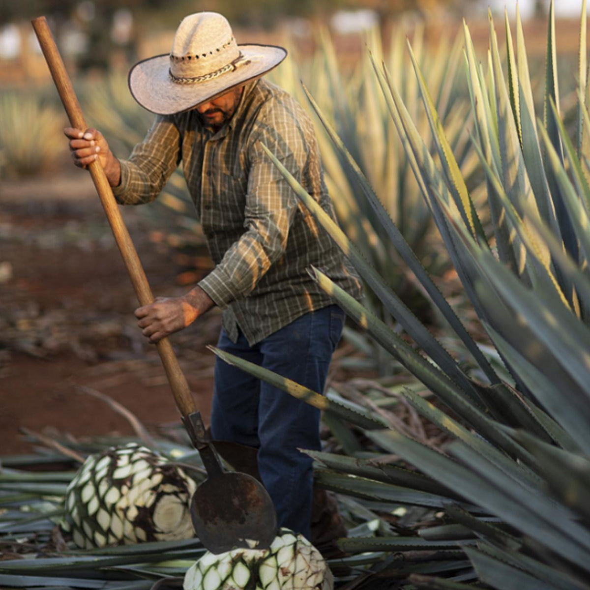 El Tesoro Blanco Tequila 750ml
