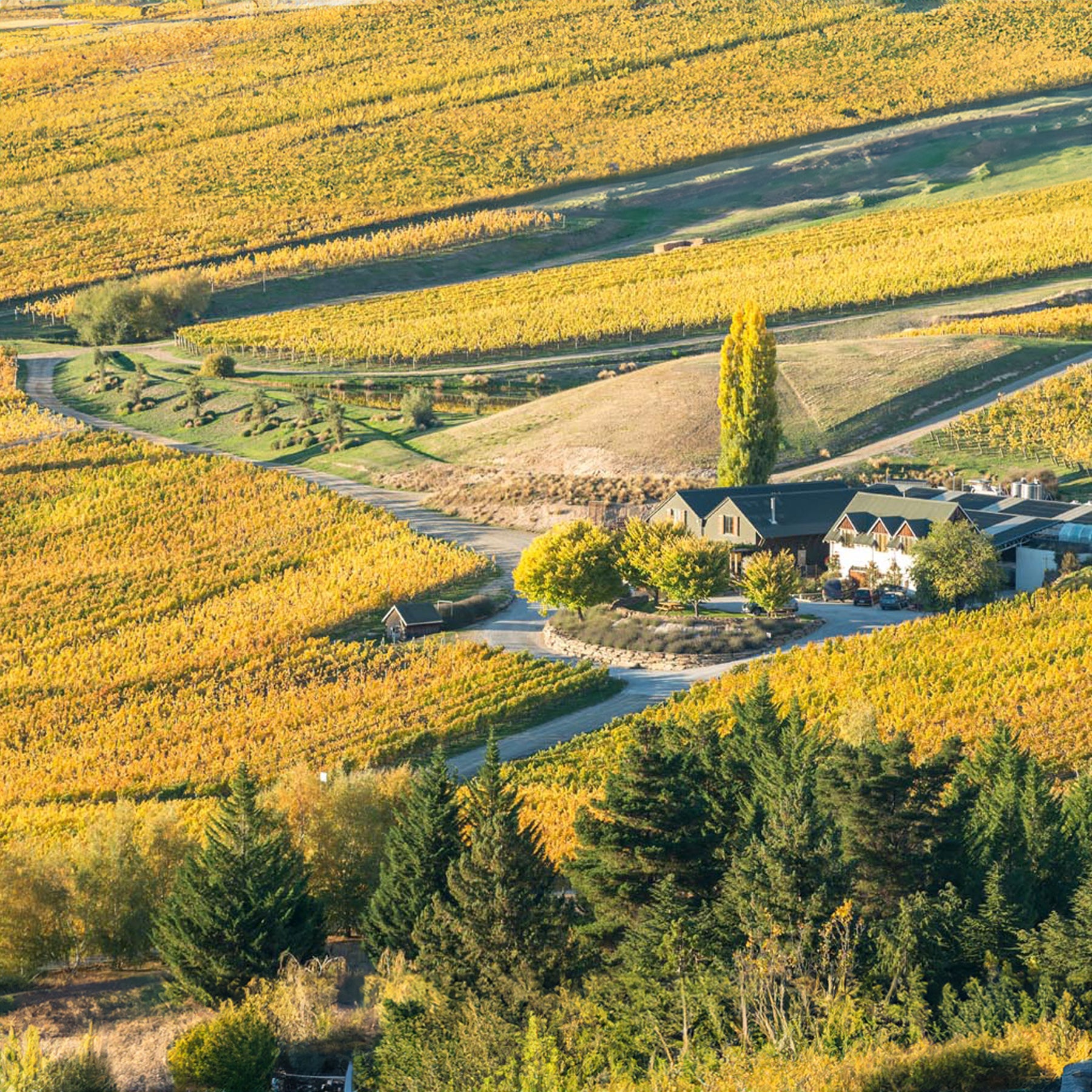 Felton Road Block 6 Chardonnay 2023