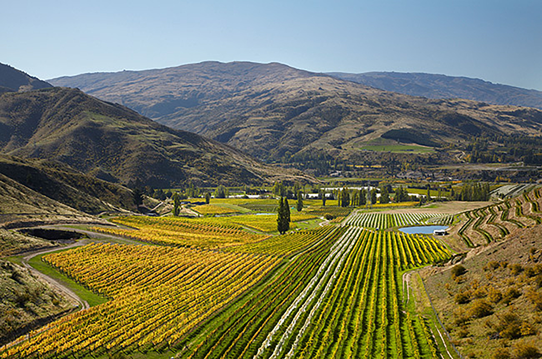 Felton Road Bannockburn Pinot Noir 2022
