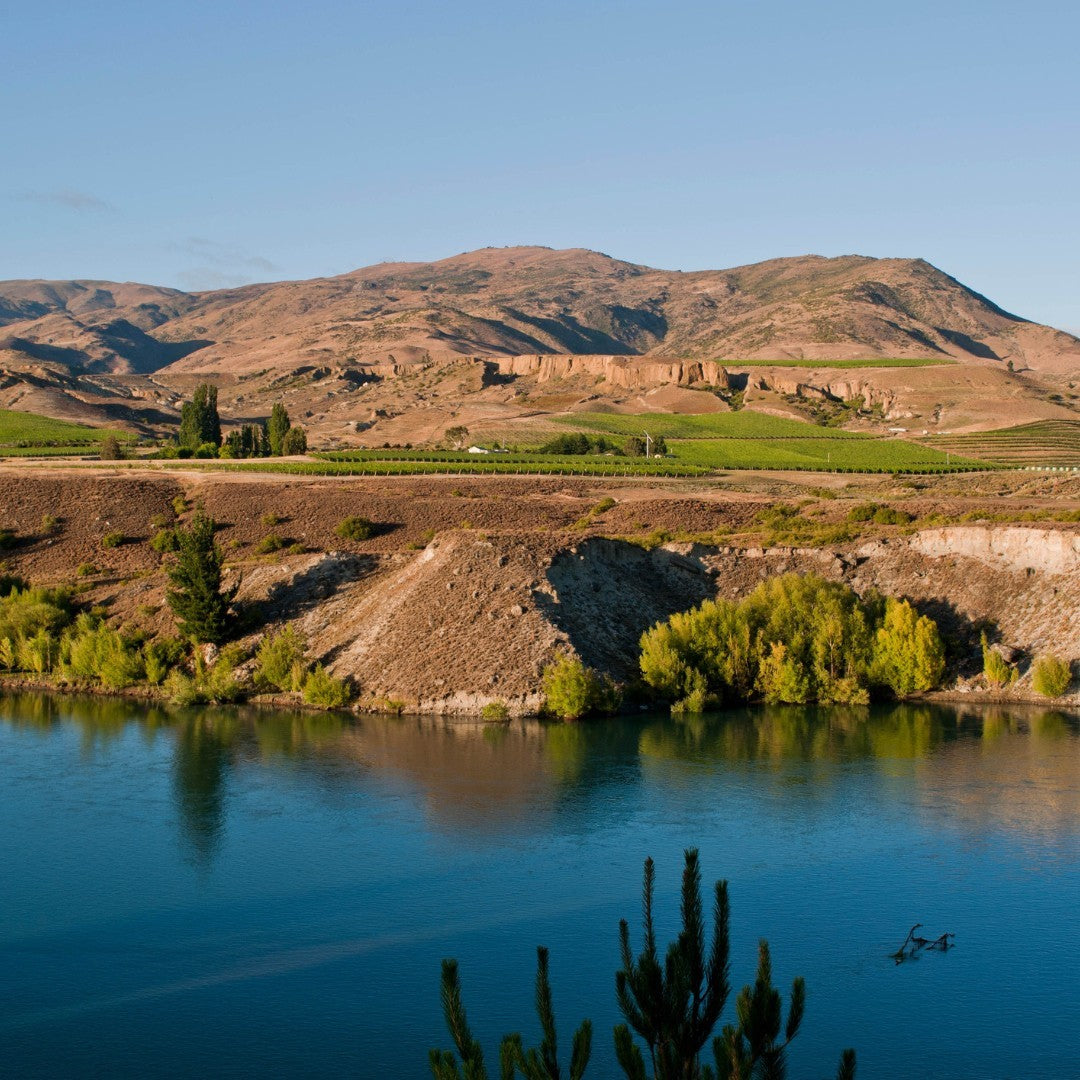 Felton Road's Vineyard whose their latitude of 45 degrees south is similar to the Willamette Valley in Oregon and some of the finest wine regions of France - Kent Street Cellars