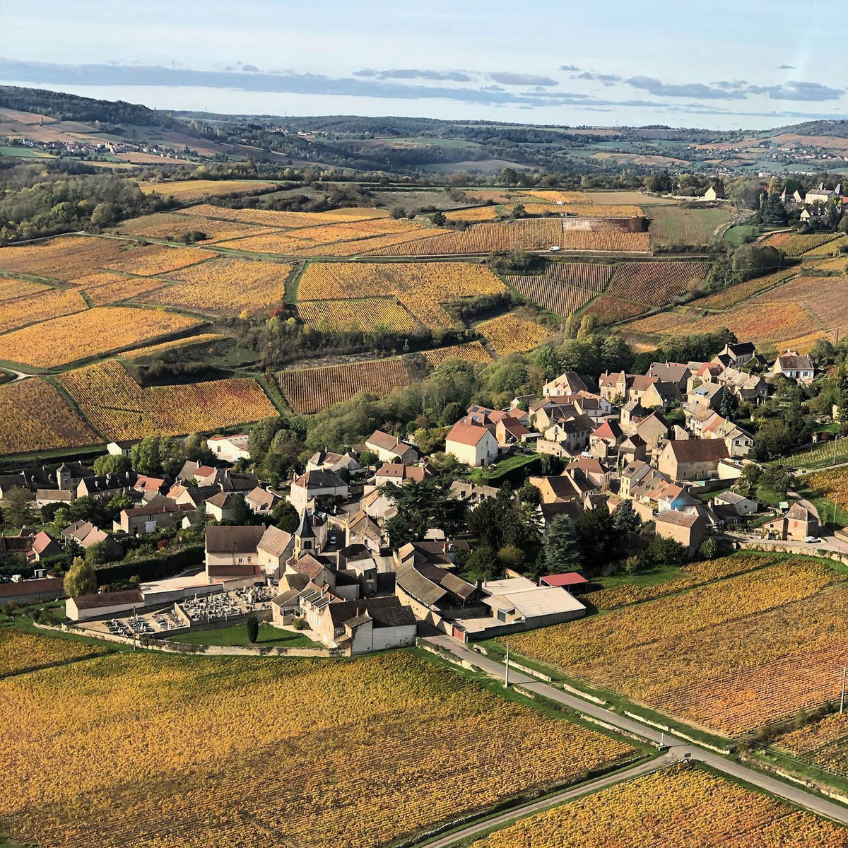Domaine Lucien Muzard Bourgogne Rouge 2022 - Kent Street Cellars