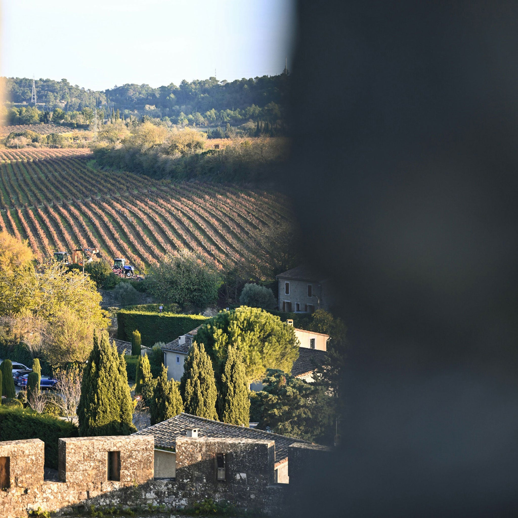 Max IGP Mediterranean Rosé (12 Bottles)