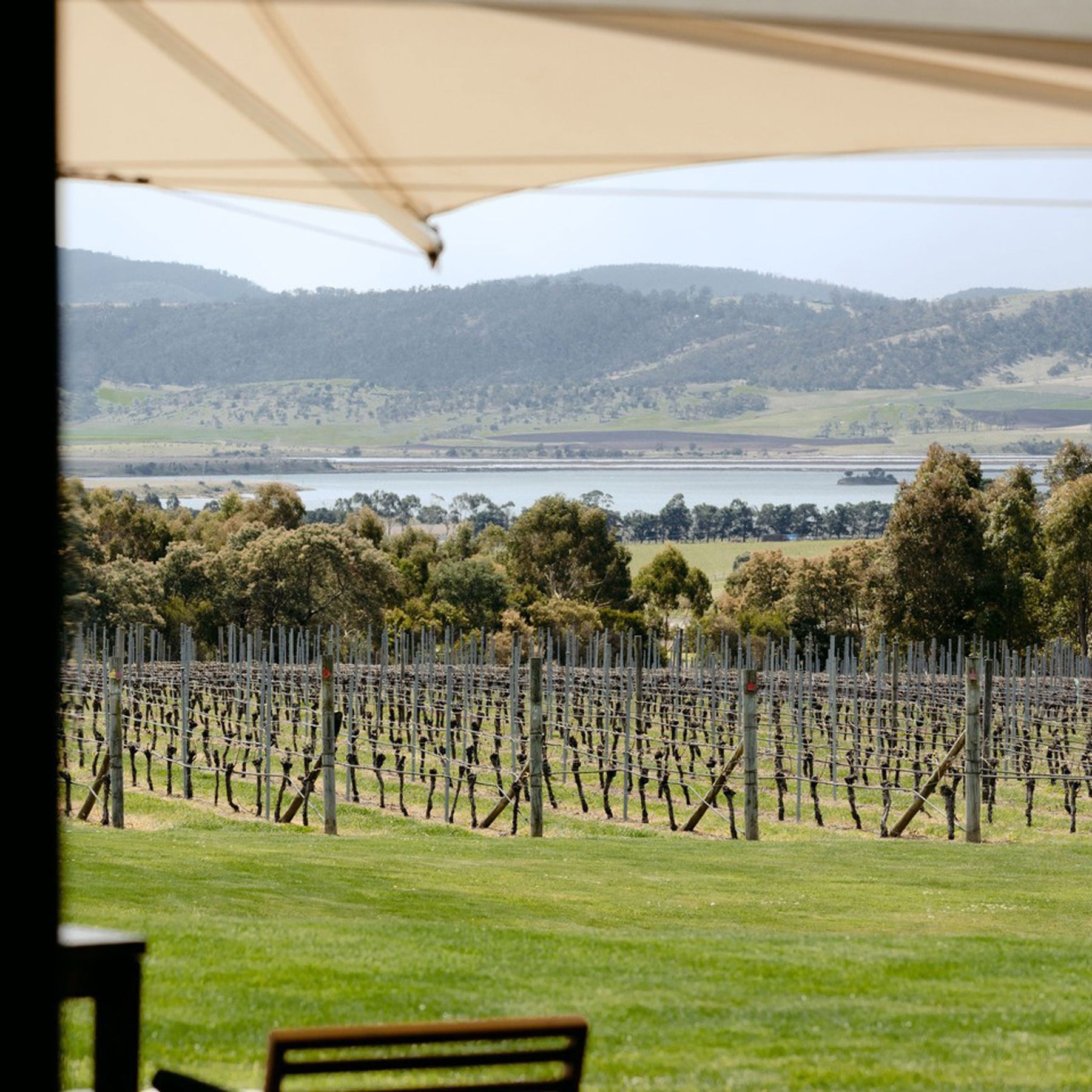 Frogmore Creek Sparkling Cuvee 2022