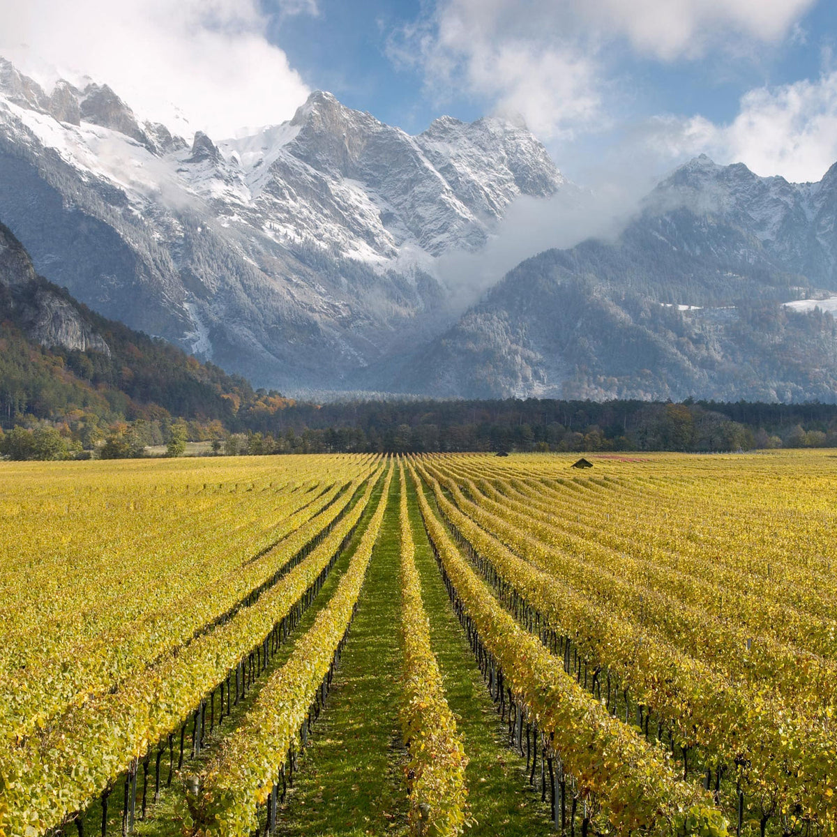 Gantenbein Chardonnay 2023