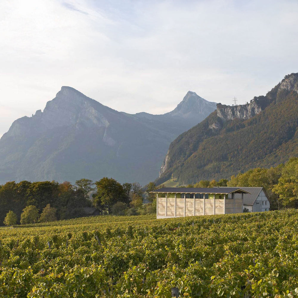 Gantenbein Pinot Noir 2022