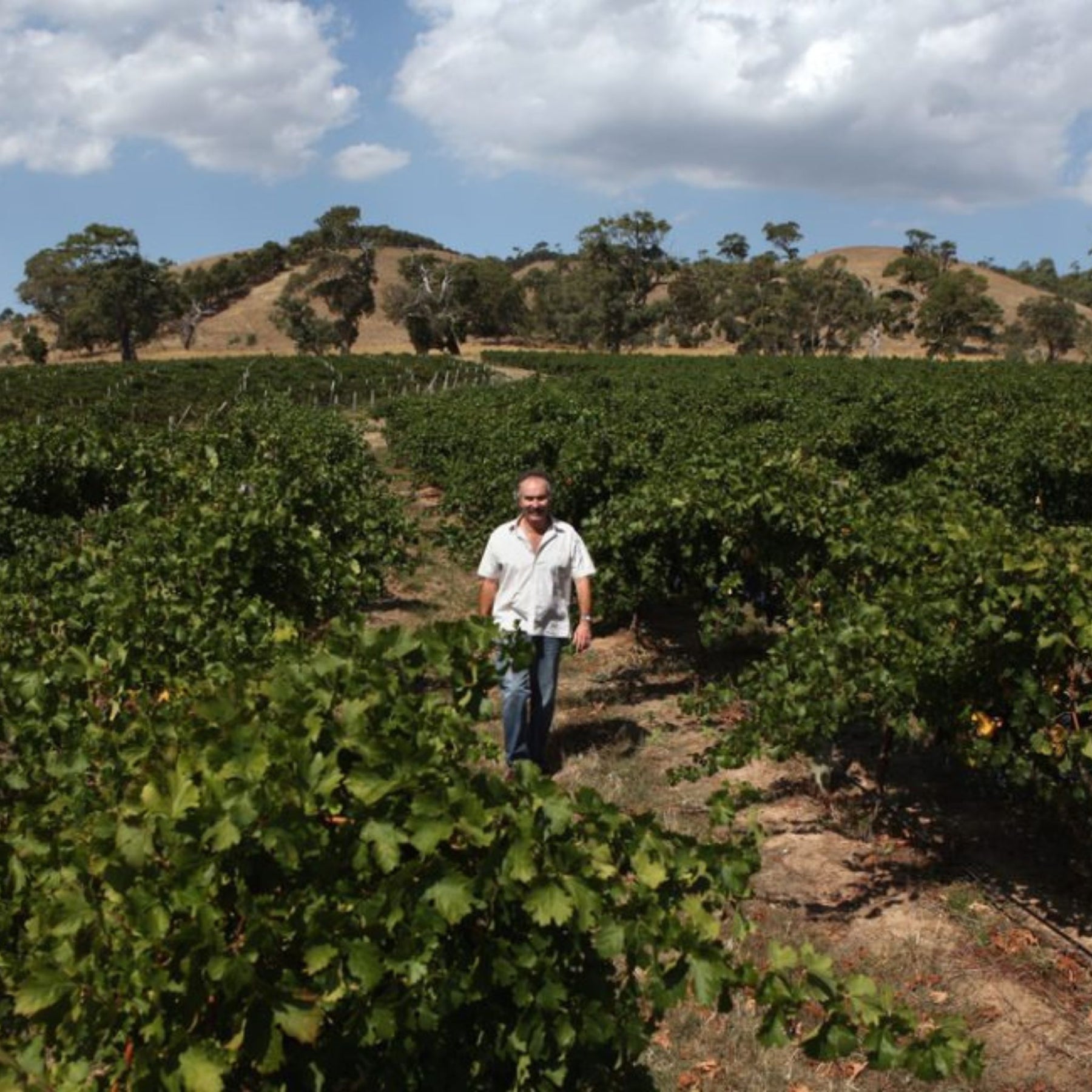Geoff Merrill Reserve Shiraz 2016