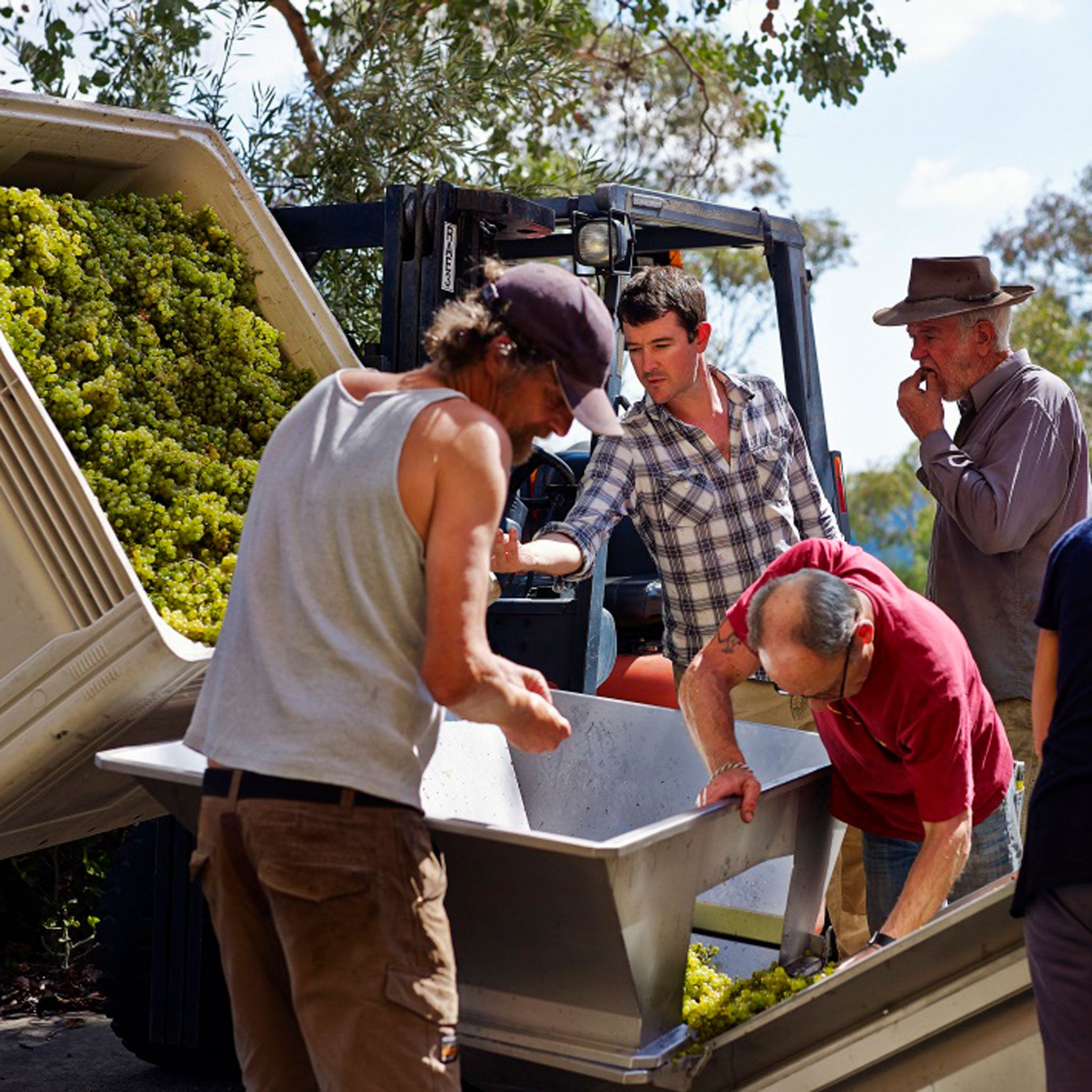 Giaconda Estate Vineyard Chardonnay 2022