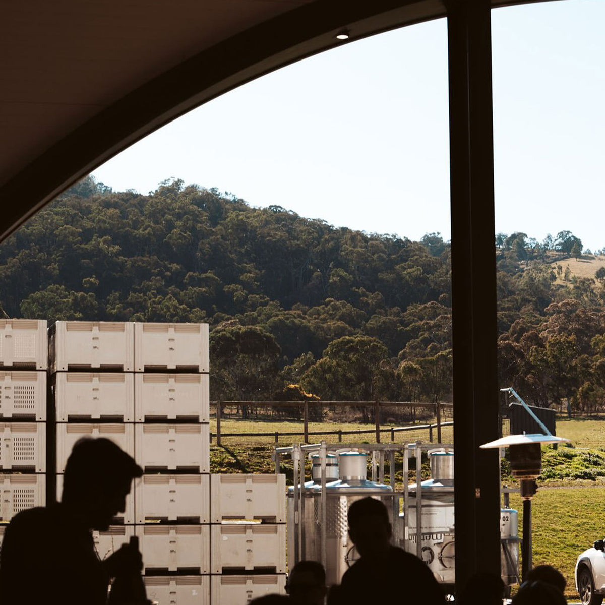 Giant Steps Applejack Vineyard Chardonnay 2024