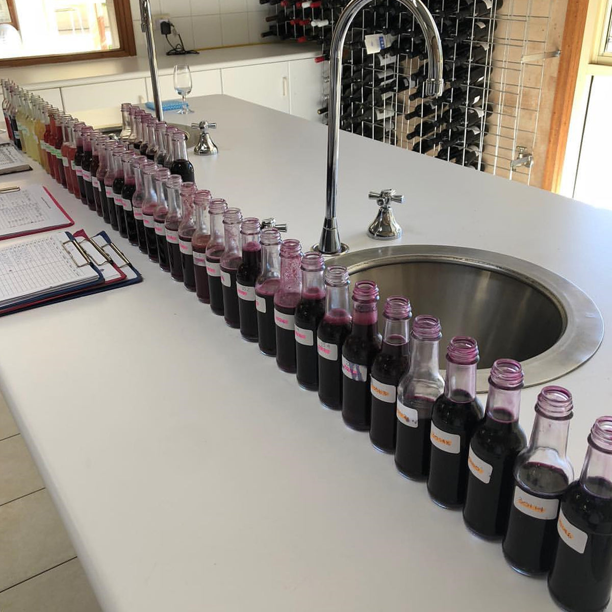 Ben Glaetzer Bishop Shiraz 2022