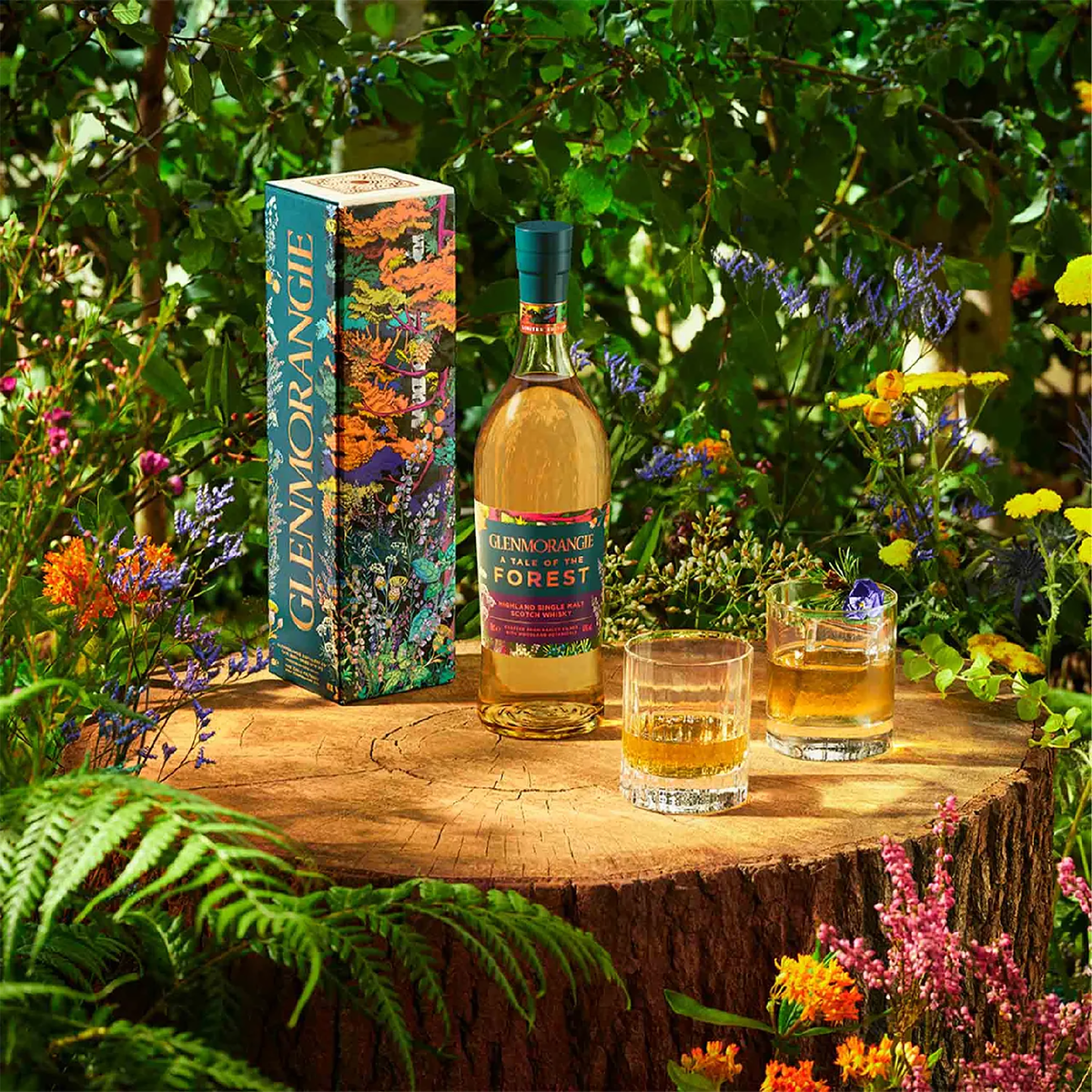 Glenmorangie A Tale of Forest Limited Edition Single Malt Scotch Whisky 700ml - Kent Street Cellars